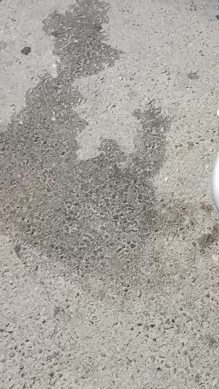 اگزوز هاوارد ۷۱۳   معاوضه با هرچی به کارم بیاد|قطعات یدکی و لوازم جانبی|قدس, شهر‌قدس|دیوار