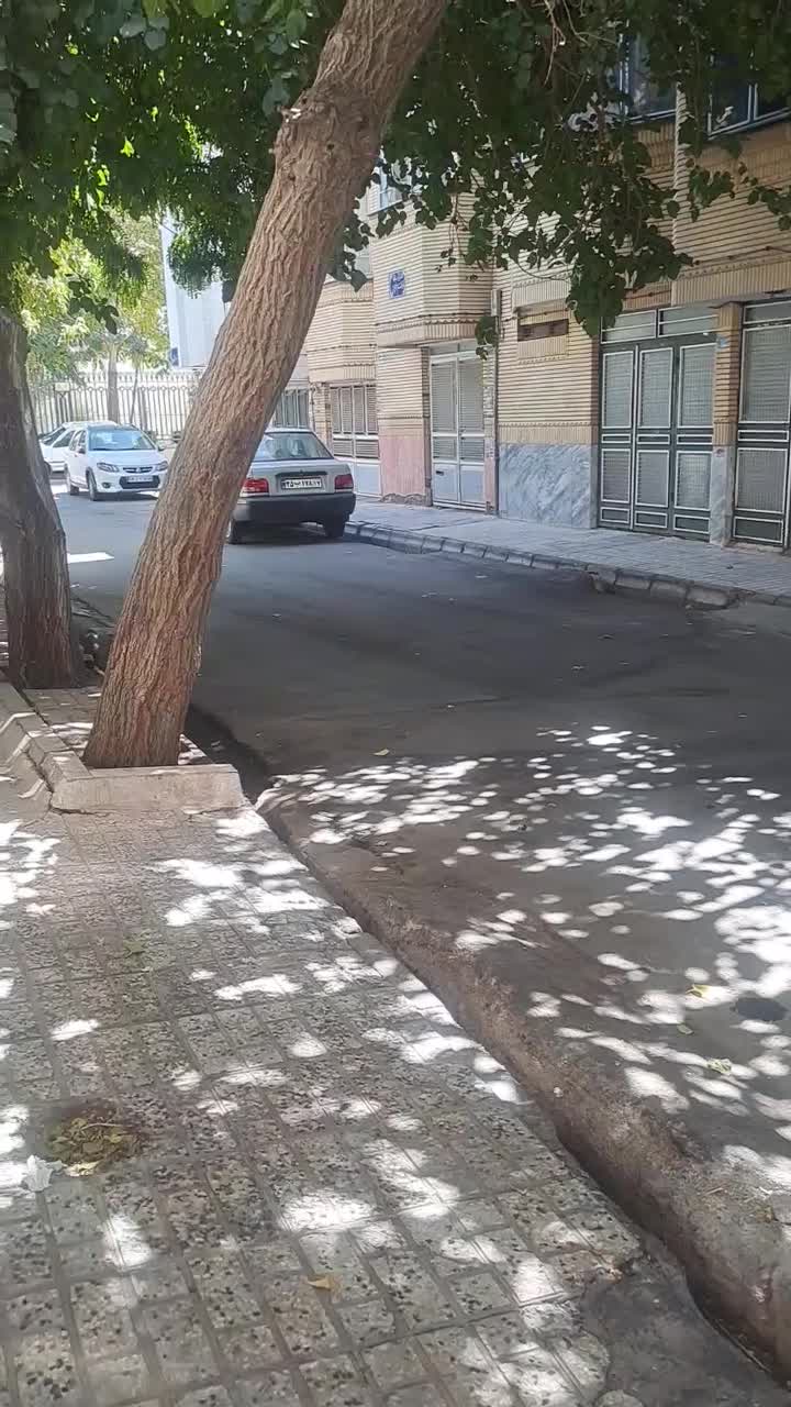منزل ویلایی یک طبقه دربست یک خواب|اجارهٔ خانه و ویلا|مشهد, کارگران|دیوار