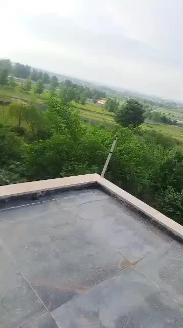 پلاک یک جنگل قطعه بندی شده سندششدانگ اقساط یک ساله|فروش زمین و ملک کلنگی|امامزاده عبدالله, |دیوار