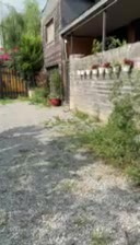 قطعه های ۲۰۰ متری زمین نزدیک تهران ((جنگل هراز ))|فروش زمین و ملک کلنگی|امامزاده عبدالله, |دیوار