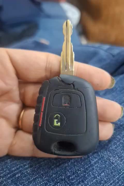 پیدا شده|اشیا|بندر کنگان, |دیوار