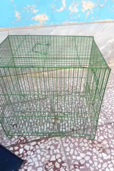قفس درحدنو توضیحات را بخون|لوازم جانبی حیوانات|قم, شهرک امام حسن|دیوار