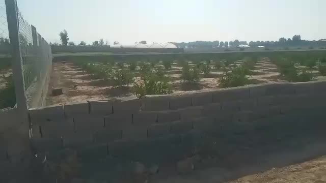 زمین ۲۵۰ متری آماده ساخت با تمام امکانات|فروش زمین و ملک کلنگی|قرچک, پویینک|دیوار