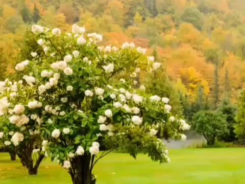 سی دی آموزشی ترمودینامیک مقدماتی|کتاب و مجله آموزشی|تهران, بهداشت|دیوار