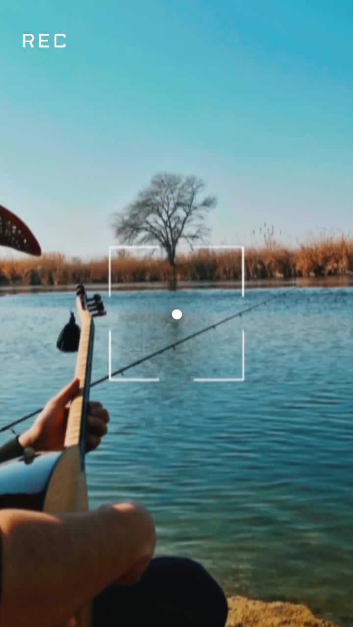 آموزش باغلاما به صورت حرفه ای صفر تا صد|خدمات آموزشی|تبریز, |دیوار