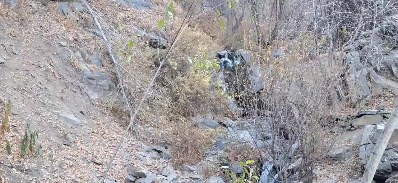 همراه طبیعت گردی|فعالیت داوطلبانه تحقیقاتی|مشهد, احمدآباد|دیوار