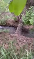 فروش زمین 300 متر در کردان برغان روستای اغشت|فروش زمین و ملک کلنگی|کوهسار (البرز), |دیوار