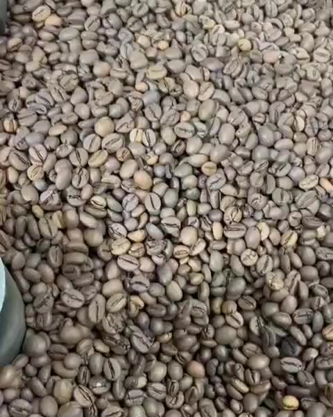 قهوه|عمدهفروشی|اسلامآباد غرب, |دیوار