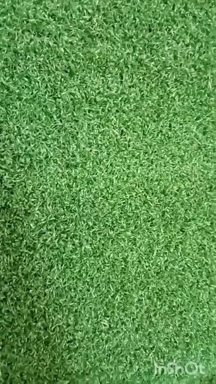 شرکت ارائه کننده چمن مصنوعی|خدمات باغبانی و درختکاری|تهران, باغ فیض|دیوار