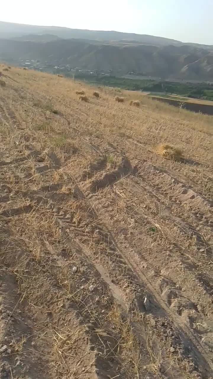 دروگر مدل۷۷ اصل ایتالیایی با ۳تا جلوبندی|خودرو سنگین|زنجان, |دیوار