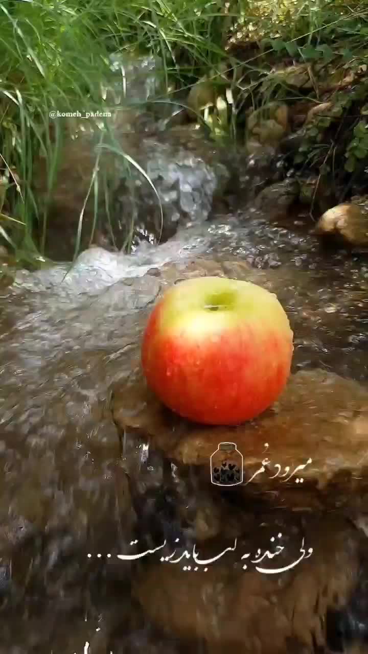 روانشناس|فعالیت داوطلبانه|تهران, اوقاف|دیوار