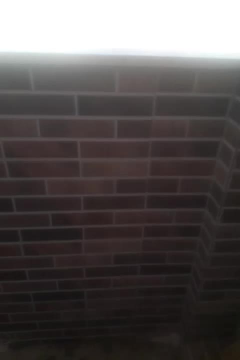 انجام کلیه کارهای ساختمانی سفت کاری و نازک کاری|خدمات پیشه و مهارت|زاویه, |دیوار