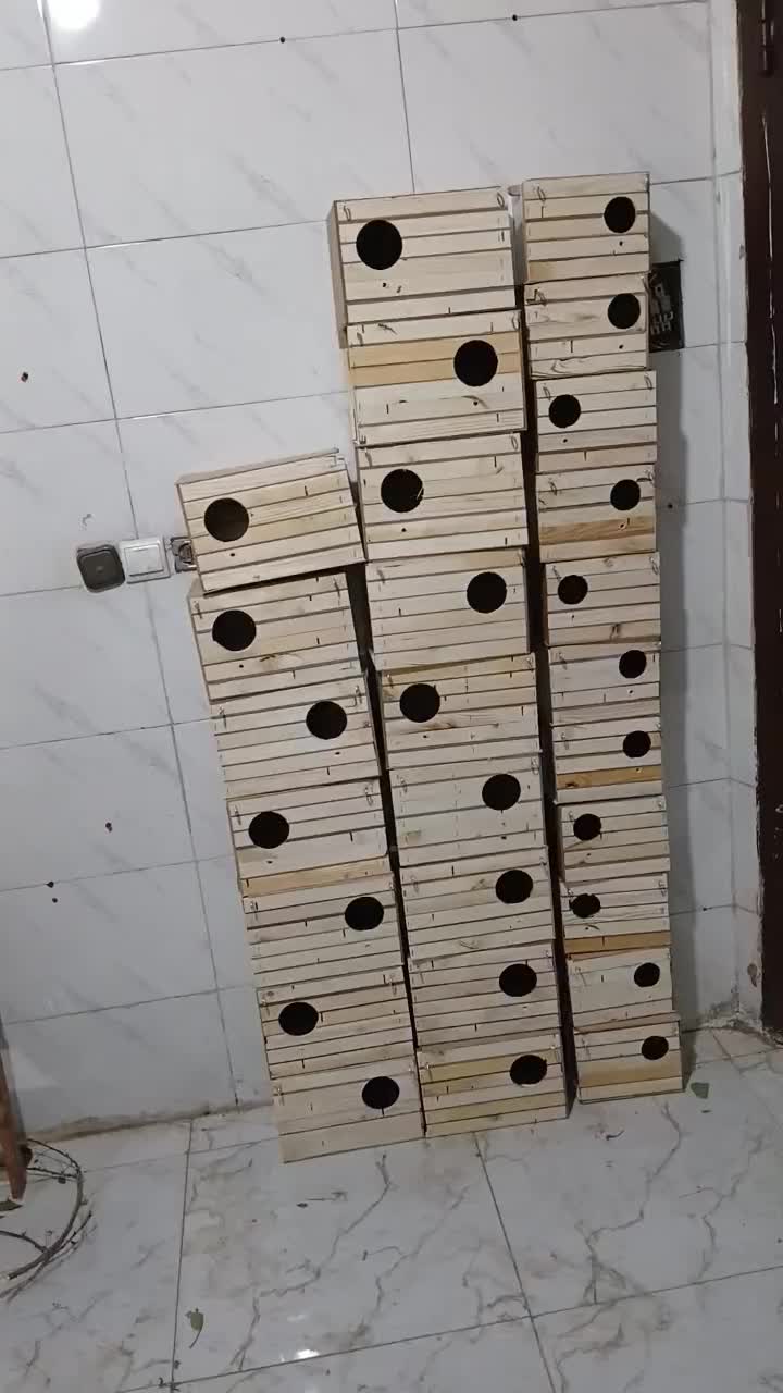 لانه ی عروس هلندی به قیمت عمده|لوازم جانبی حیوانات|محمدشهر, کوی بهار|دیوار