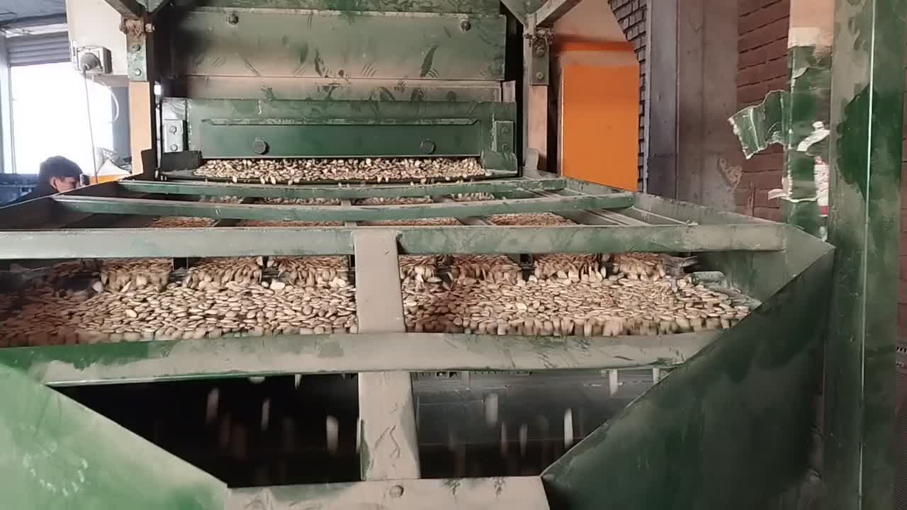 تخمه کدو گوشتی|عمده‌فروشی|فیروزآباد (آذربایجان), |دیوار