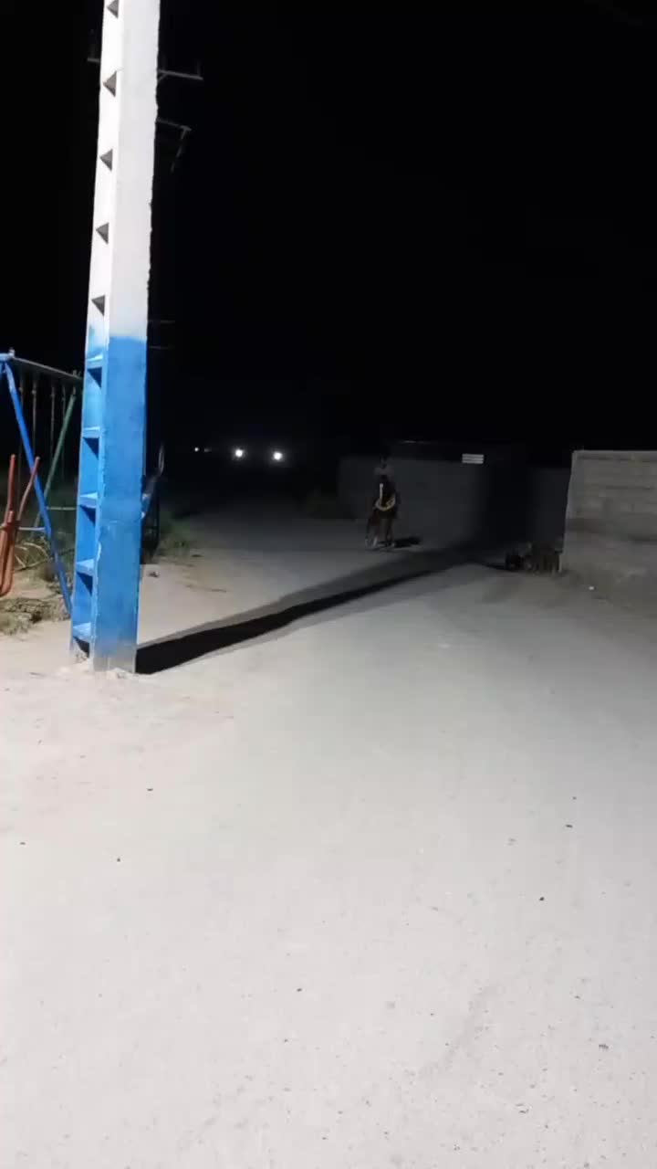 اسب سواری دار عالی همچین تموم|اسب و تجهیزات اسب‌سواری|تهران, گمرک|دیوار