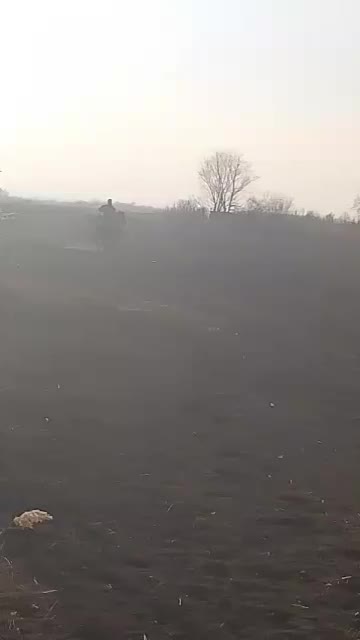 اسب ۵ساله|اسب و تجهیزات اسب‌سواری|ارومیه, |دیوار