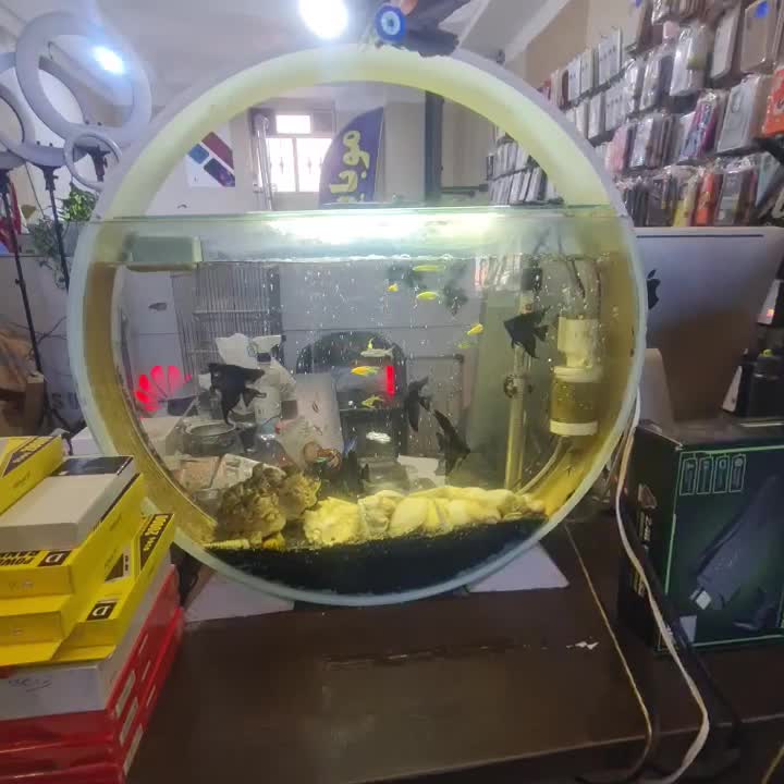 اکواریم کلاسیک دایره ای|ماهی|شیراز, شهرک جماران|دیوار