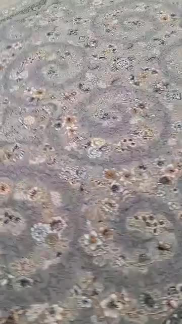 فرش ۷۰۰شانه۱عدد|فرش|یاسوج, |دیوار