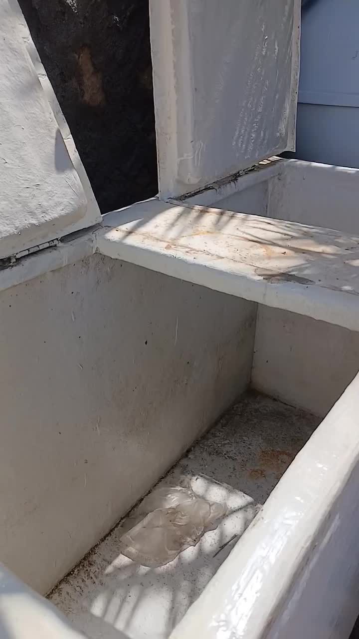 فروش صندوق ماهی تمیز|فروشگاه و مغازه|محمله, |دیوار