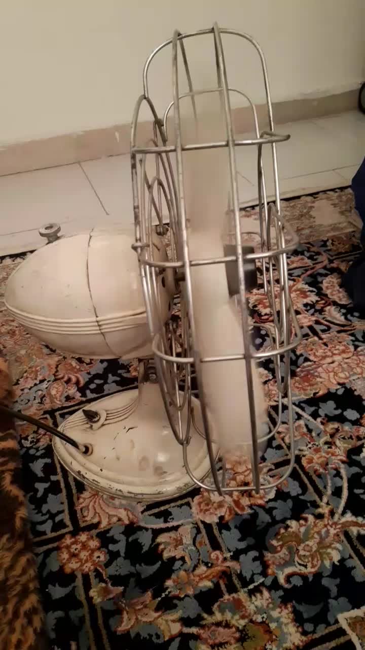 پنکه قدیمی سالم بشرط سالم|پنکه و تصفیهکنندهٔ هوا|اندیشه, شهرک کوثر|دیوار