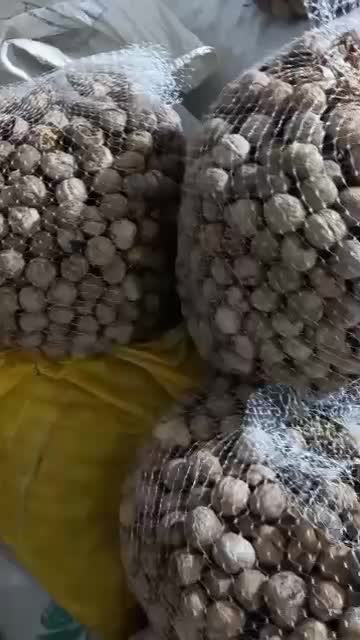 گردو پوست کاغذی،قیمت از ۲۵۰تا ۵۵۰|خوردنی و آشامیدنی|نجف‌آباد, گلدشت|دیوار