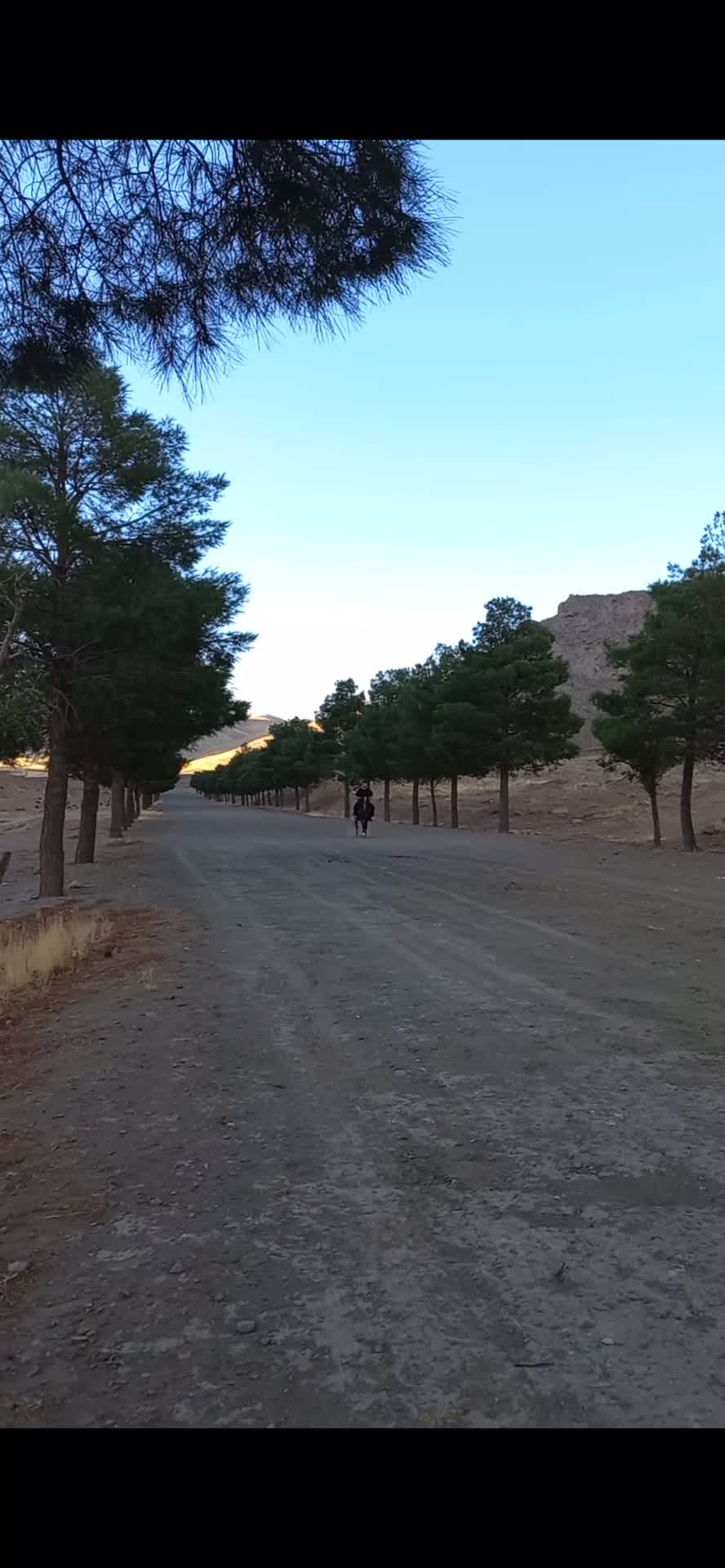 مادیان|اسب و تجهیزات اسبسواری|کرمانشاه, |دیوار