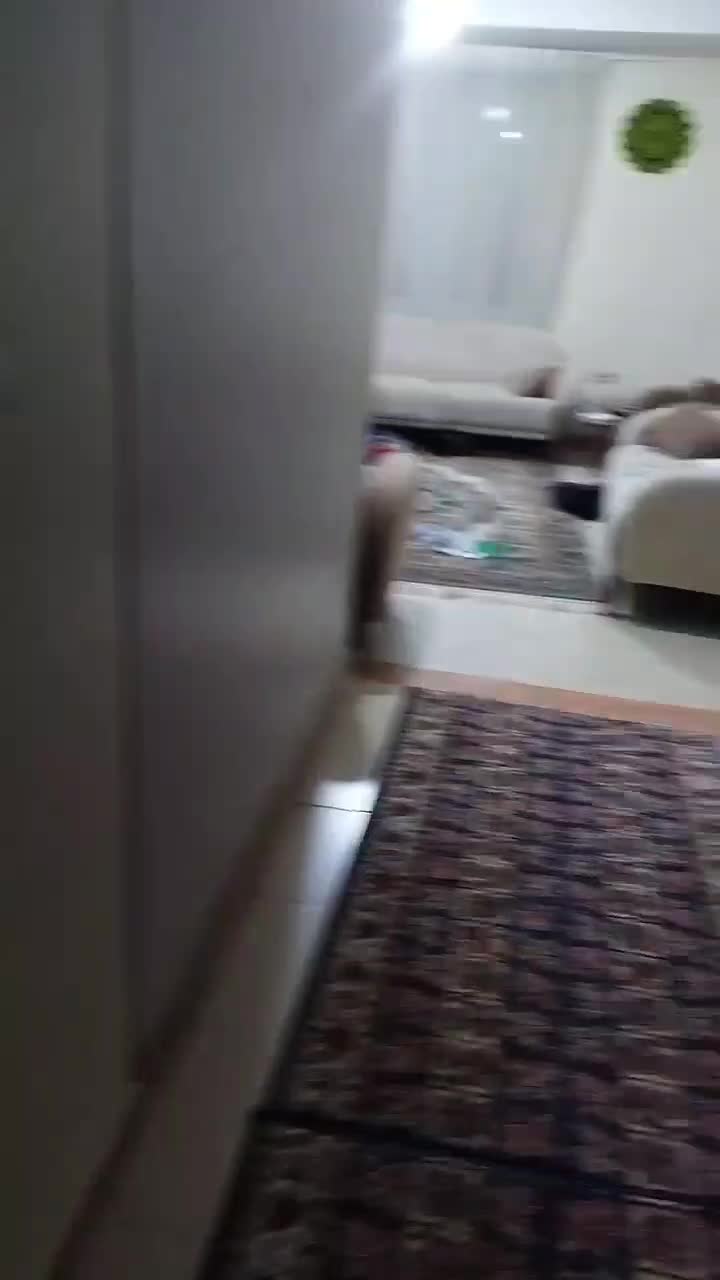 فروش آپارتمان|فروش آپارتمان|کرج, شهرک فهمیده|دیوار