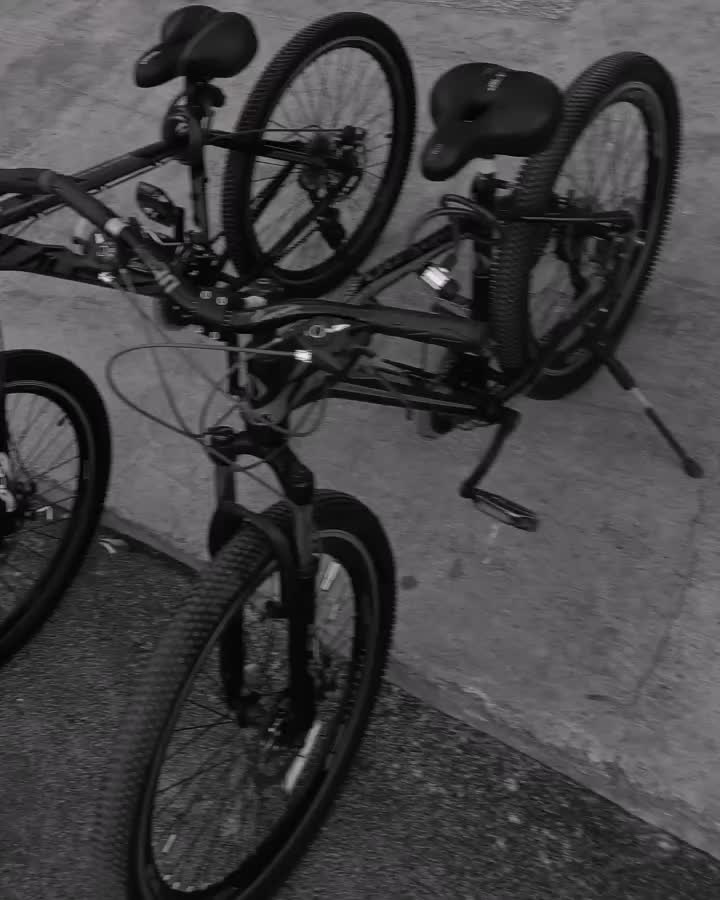 دوچرخه Alex|دوچرخه، اسکیت، اسکوتر|رشت, استقامت ۱|دیوار