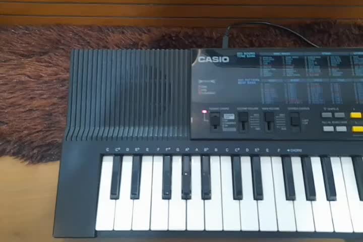 ارگ کاسیو|پیانو، کیبورد، آکاردئون|رشت, کوی طالقانی|دیوار