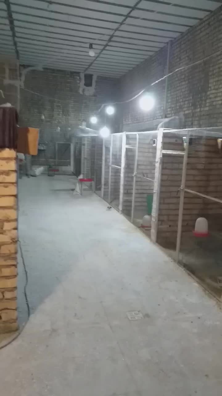 سوله،انبار،کارگاه|فروش دفتر صنعتی، کشاورزی، تجاری|قنوات, |دیوار