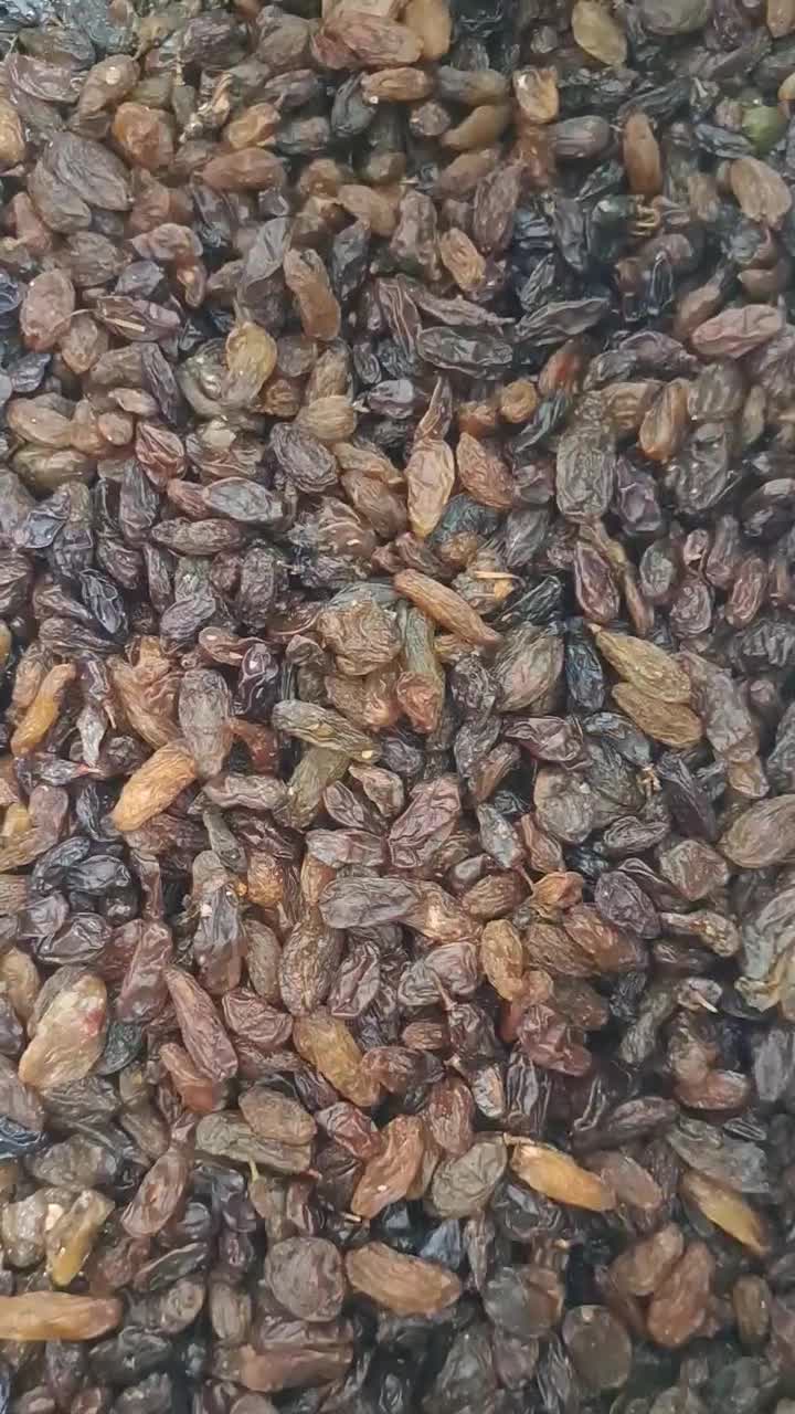 کشمش افتابی کاشمر .سبز. مویز. دودی|عمدهفروشی|کاشمر, |دیوار