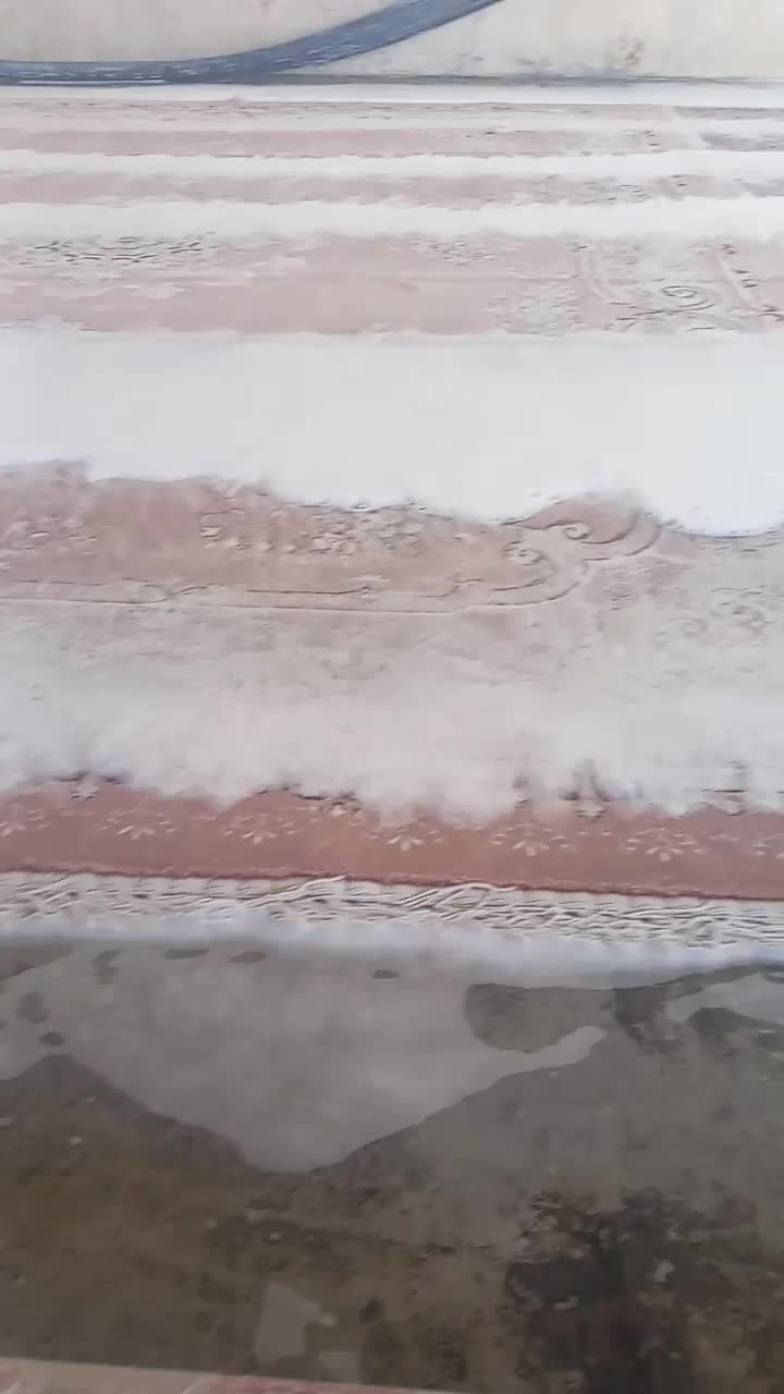 قالیشویی  کیفیت برترشهرما 24ساعت|خدمات نظافت|مشهد, مقدم|دیوار