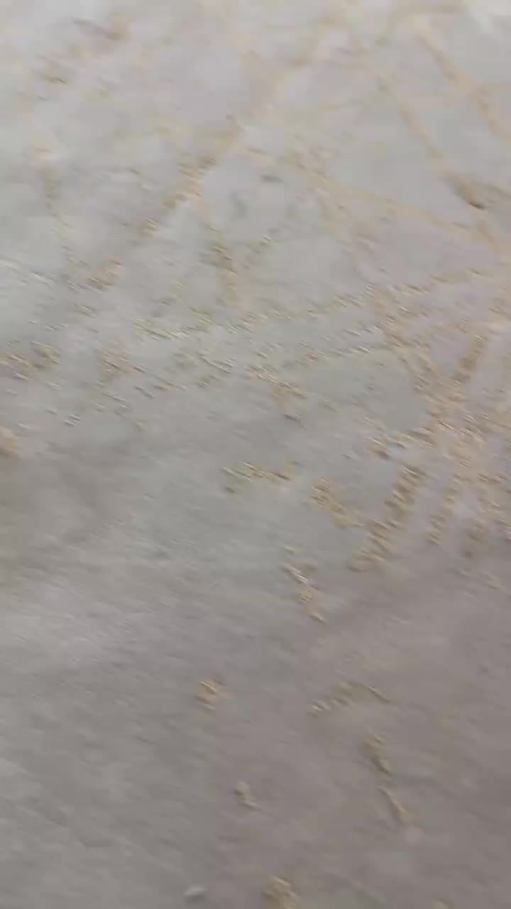 فرش شش متری نو|فرش|محلات, |دیوار