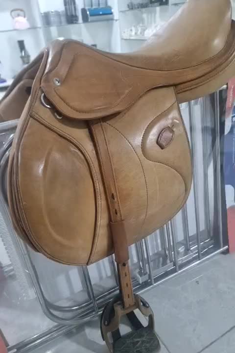 زین اسب|اسب و تجهیزات اسب‌سواری|الوند, |دیوار