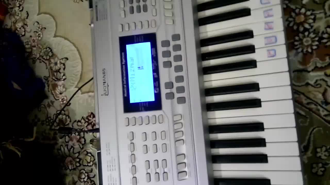 ارگ LuQmAN 65|پیانو، کیبورد، آکاردئون|سنندج, |دیوار