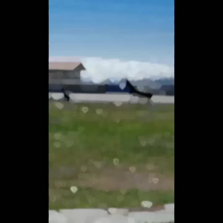 اسبنریانکرد|اسب و تجهیزات اسبسواری|سنندج, |دیوار