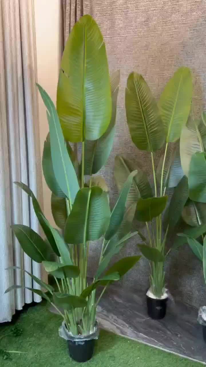 پخش درخت های مصنوعی|گل مصنوعی|قدس, شهرقدس|دیوار