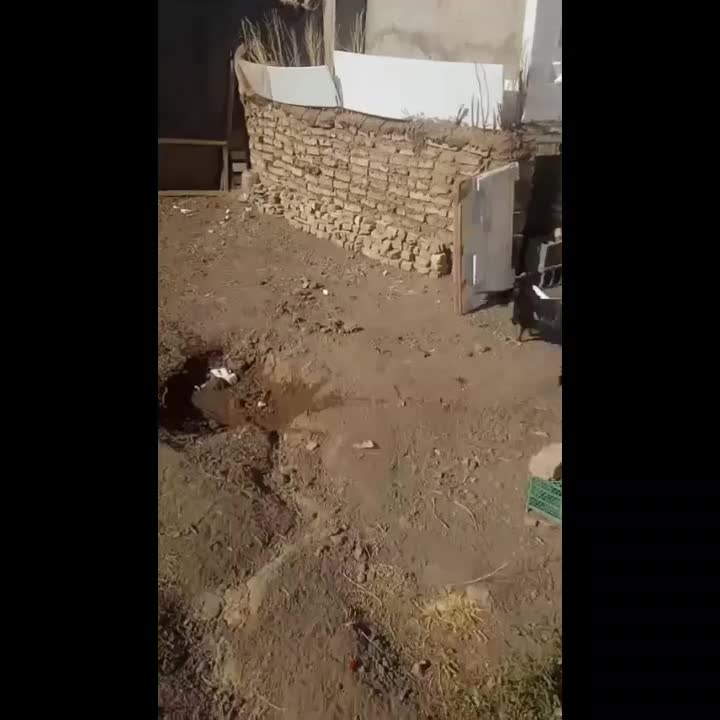 خروس مرغ|حیوانات مزرعه|عطاملک, |دیوار