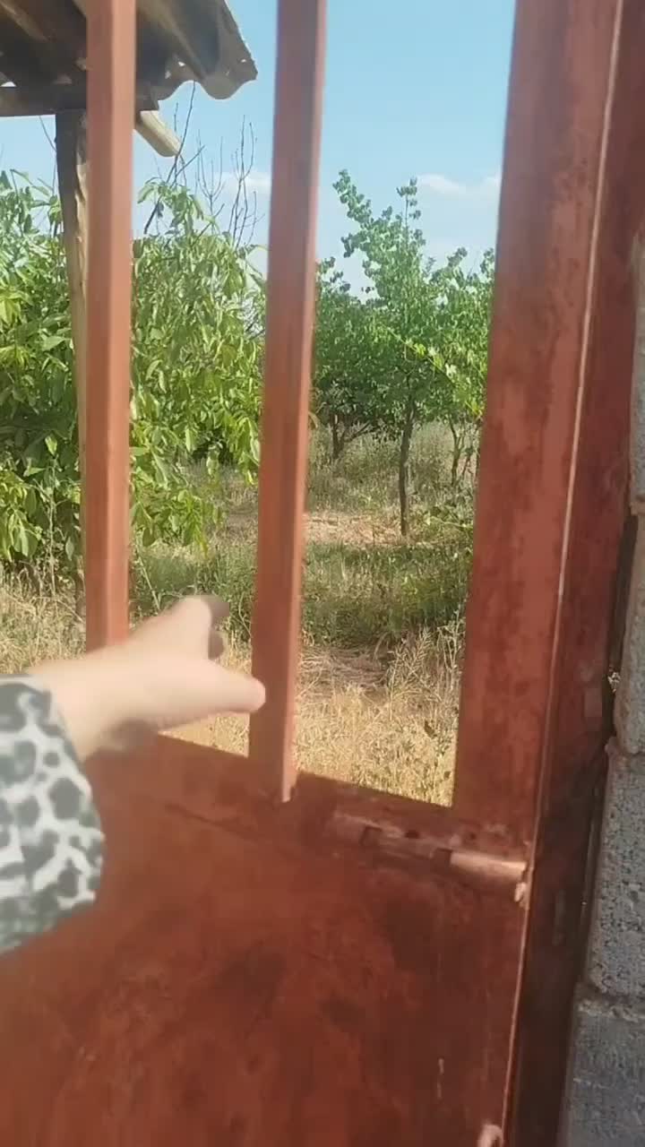 باغ|فروش زمین و ملک کلنگی|مشهد, تبادکان|دیوار