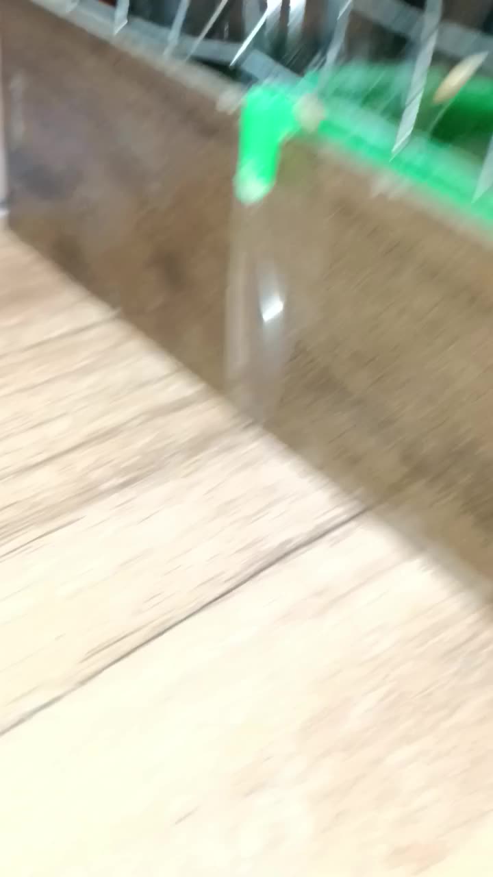 لاوبرد طوطی کوتوله پاربلو یووینگ گرینچیک قناری قفس|پرنده|مشهد, عبادی|دیوار