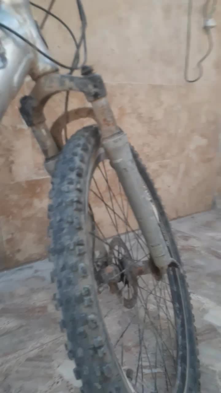 5000000|دوچرخه، اسکیت، اسکوتر|کارون, |دیوار