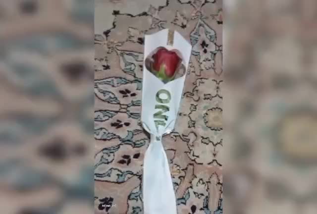 اجاره ویلا و عمارت شیراز|اجارهٔ کوتاه‌مدت ویلا و باغ|شیراز, قلات|دیوار