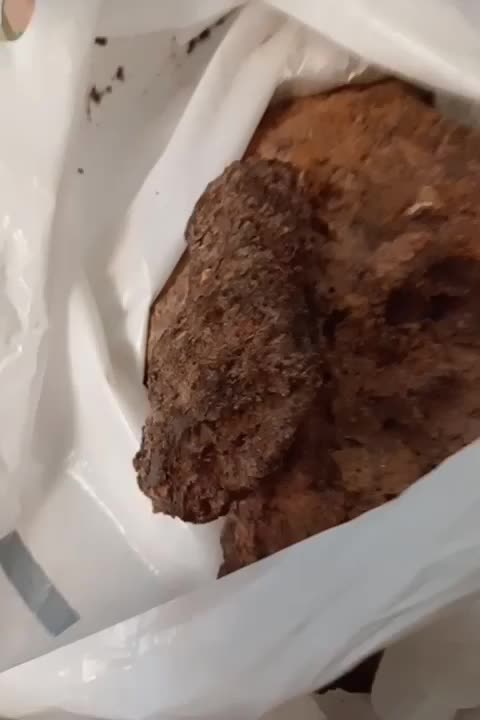 سلام عرض ادب و ارادت خدمت شما سنگ قیمتی در حفاری|کلکسیون اشیاء عتیقه|چناران, |دیوار