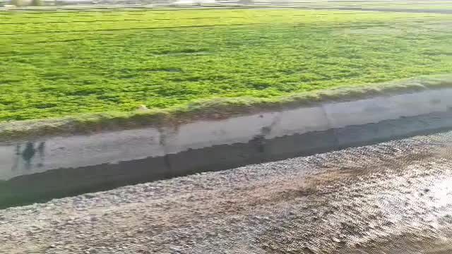 باغ ۲۰۰ متری واقع در زرین شهر|فروش خانه و ویلا|فولادشهر, فولادشهر|دیوار