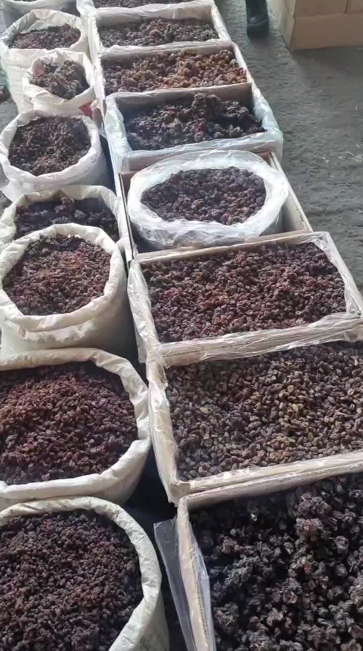 کشمش ابگیری افتابی سایه خشک شیره انگور شانی شرابی|عمده‌فروشی|تهران, شهرک شریعتی|دیوار