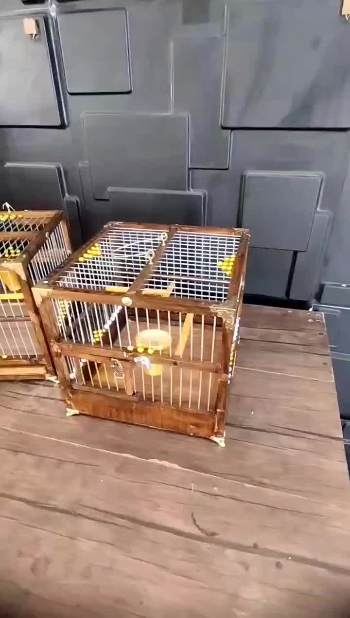 قفس (سهره)|لوازم جانبی حیوانات|دیلم, |دیوار