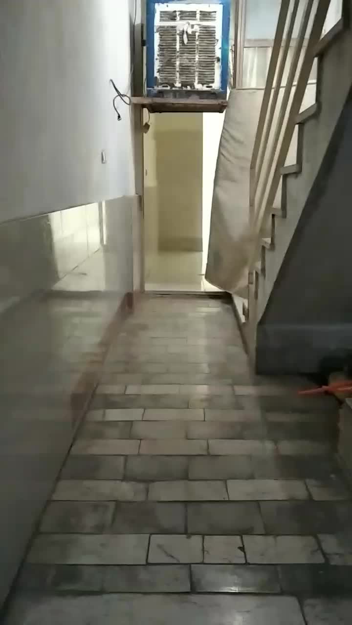 تولیدی کارگاه|اجارهٔ مغازه و غرفه|اسلام‌شهر, صادقیه|دیوار