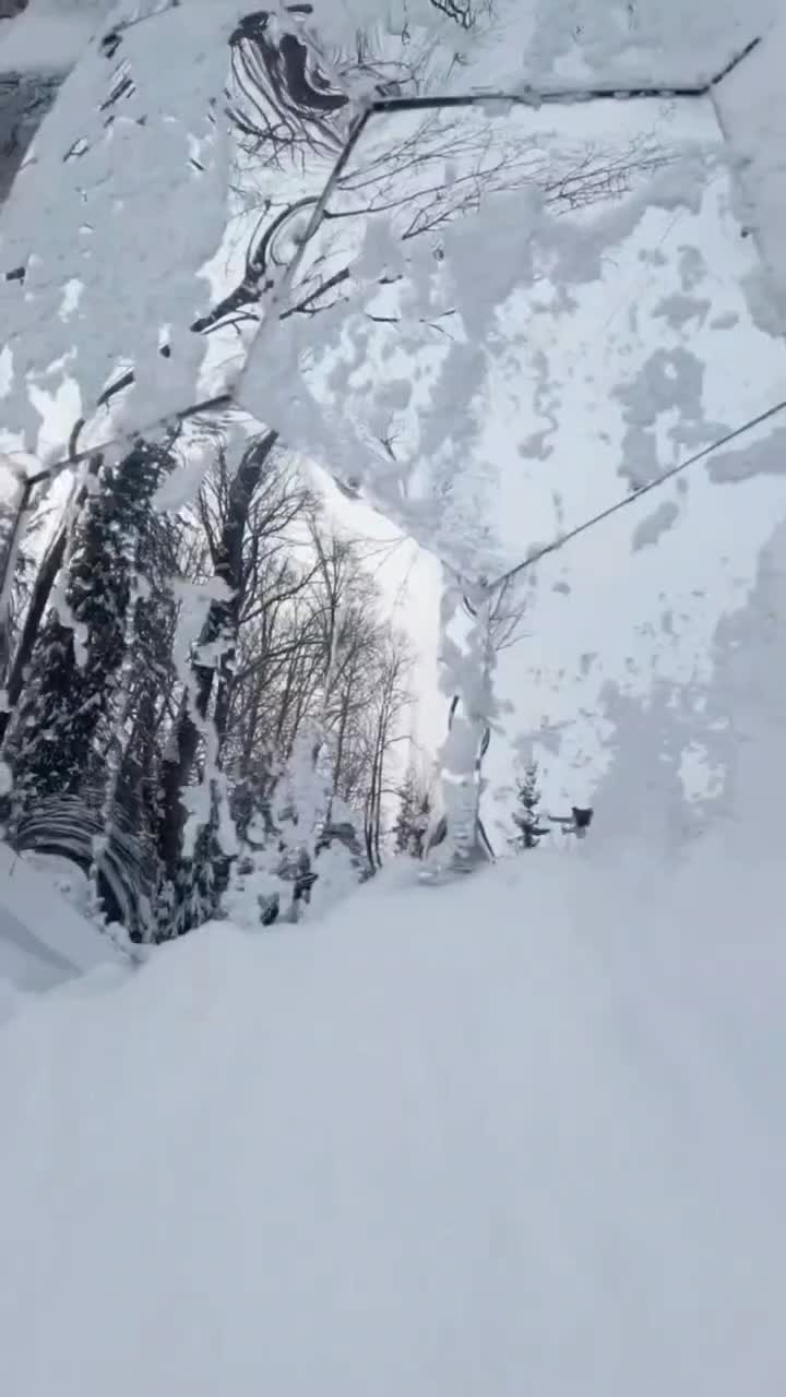 ساخت انواع کلبه و الاچیق حبابی فلت و دوبلکس|خدمات پیشه و مهارت|نوشهر, |دیوار