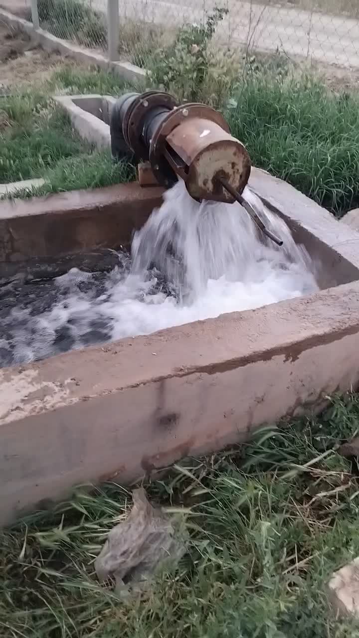 فروش زمین کشاورزی وآب باسندتوبهترین جای قزوین|فروش زمین و ملک کلنگی|دشتابی, |دیوار