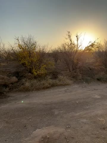 جهاداباد زمین باغی  ۵۰۰متری  با سهم آب و برق|فروش زمین و ملک کلنگی|شاهین‌شهر, برخوار غرب|دیوار